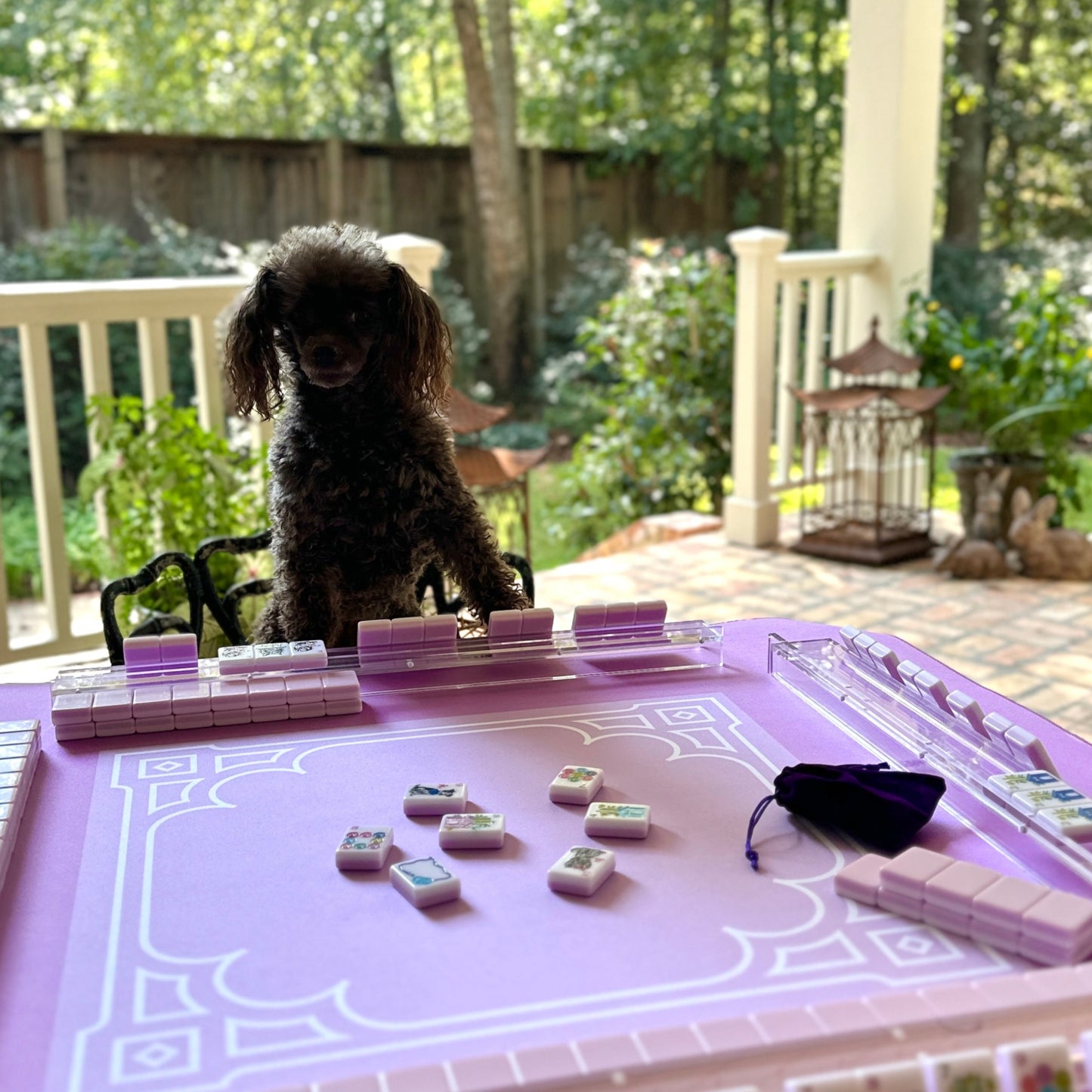 Best In Show Mahjong Set PREORDER