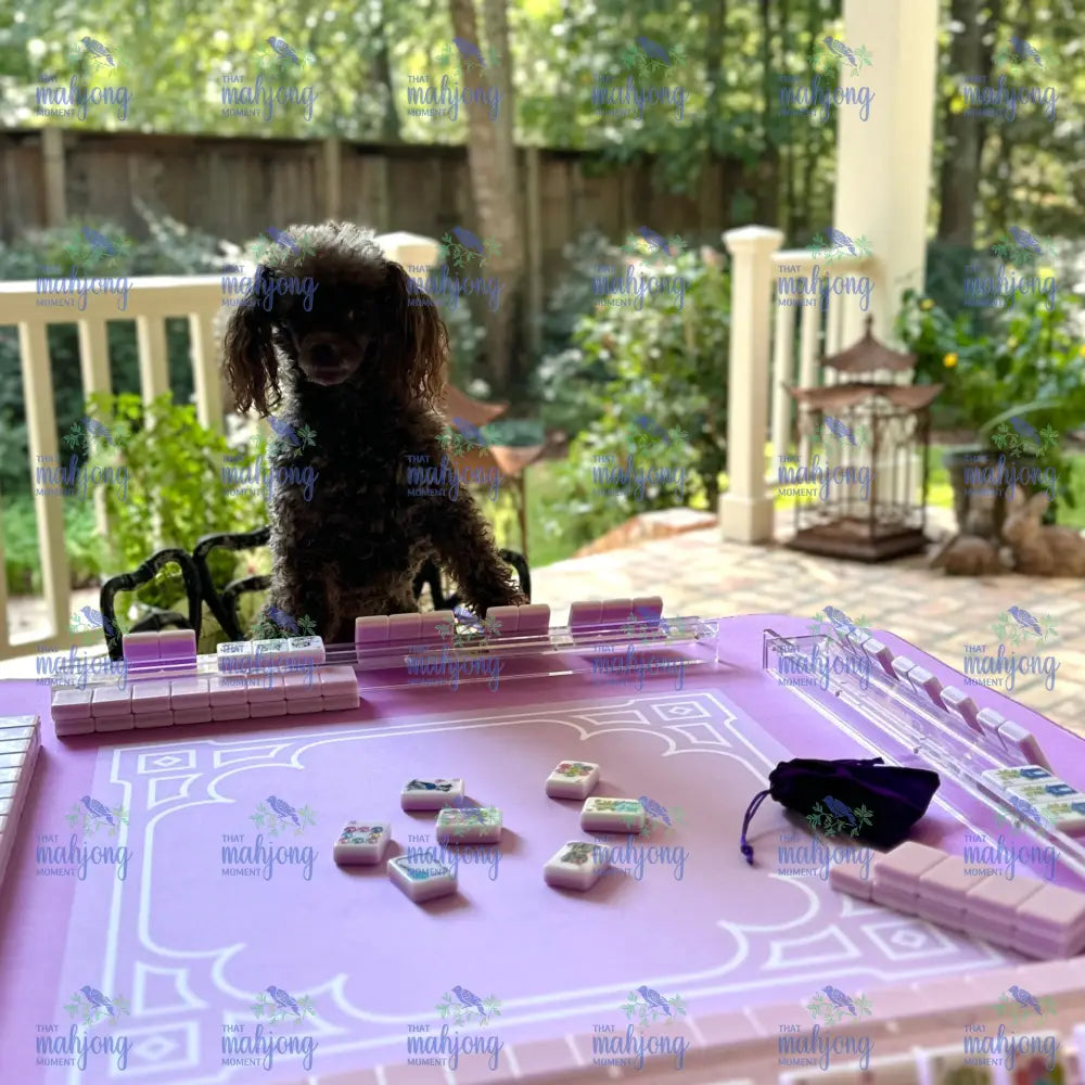 Best In Show Mahjong Set - Kits & Collections